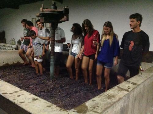 Agroturismo Casa Cimeira