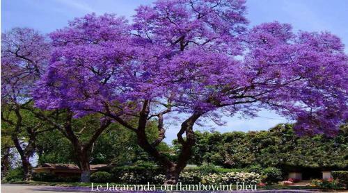 Apartamento Appartement Mar Y Golf