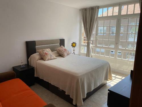 Apartamento Palmeira Grande Y Luminoso