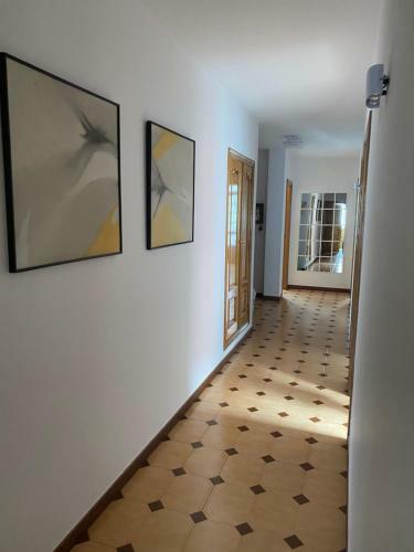 Apartamento Palmeira Grande Y Luminoso