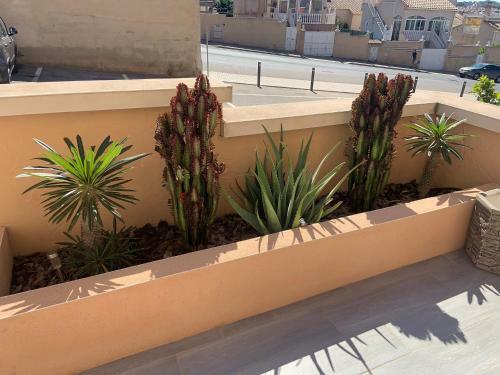 Apartamento Bungalow � Orihuela Costa En Espagne