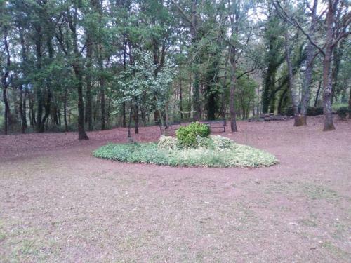 Agroturismo Aldea Figueiredo