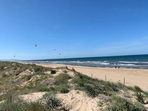 Apartamento Casas Del Mar - Oliva Nova - Primera L�nea de Playa