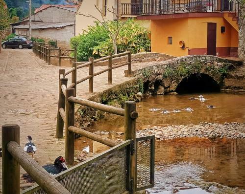 Apartamentos La Buganvilla Novales