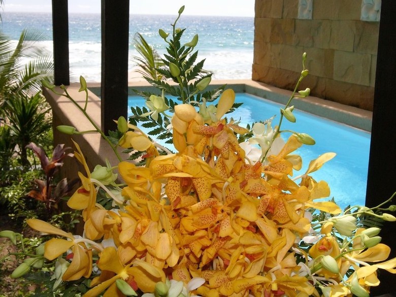 Hotel Andaman White Beach Resort