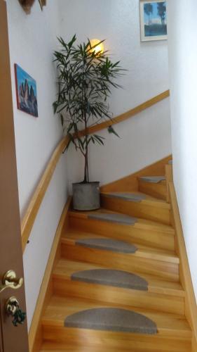 Apartamento Ferienwohnung Schlemmer