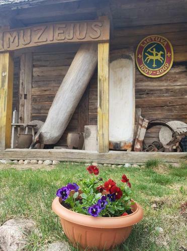 Hostal ?ilain? Recreation & Leisure