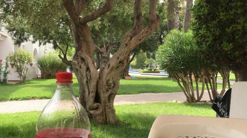 Aldeas De Taray Villa Nines