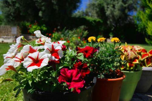 Apartamento Saint Thomas Village