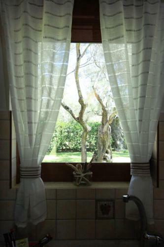Apartamento Olivastro Villa