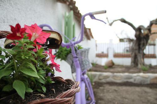 Casa Rural La Casa De La Abuela