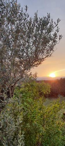 Bed & Breakfast Ca Na Sareta Petfriendly