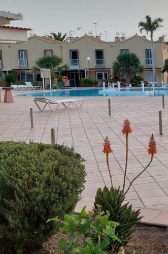 Apartamento Felucia