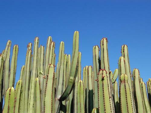 Holiday Home In Maspalomas
