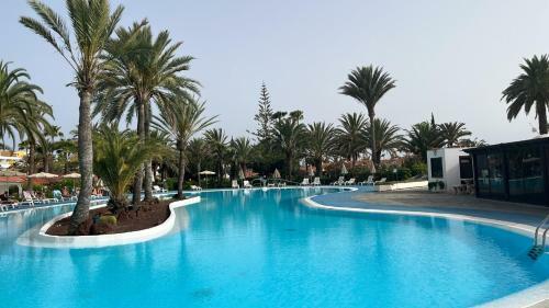 Sun Club Luxus Bungalow Projecto 65