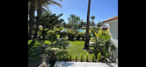 Sun Club Luxus Bungalow Projecto 65
