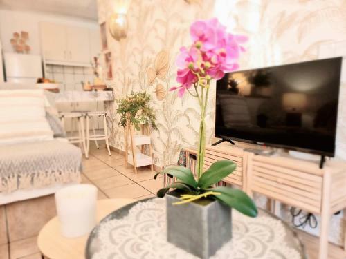 Apartamento Tropical En Playa Del Ingl�s