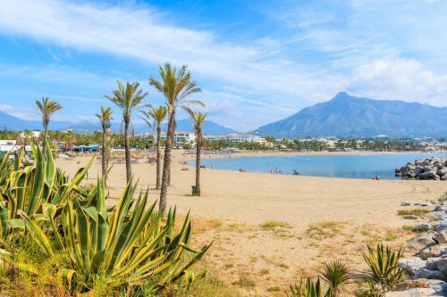 Apartamento Playas Del Duque - Puerto Ban�s - Marbella