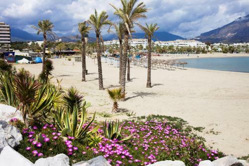 Apartamento Playas Del Duque - Puerto Ban�s - Marbella