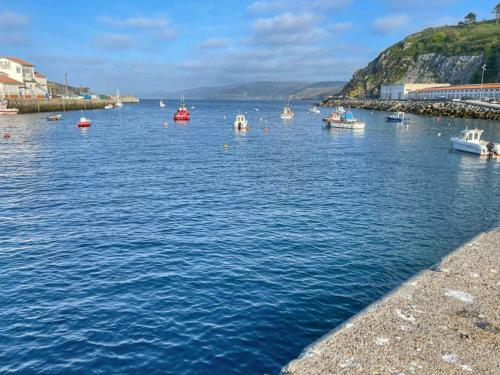 Apartamento Malpica Dise�o