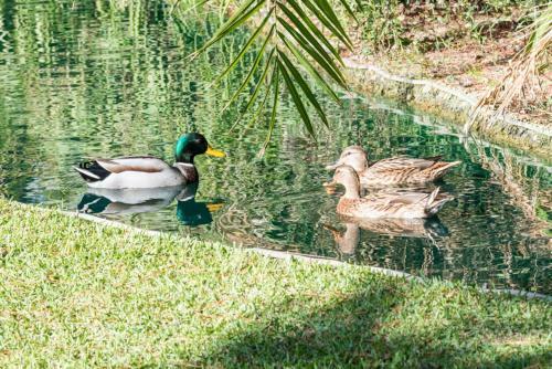 Apartamento Playas Del Duque, Puerto Banus, Golf .playa Y Compras