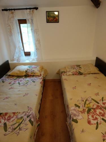 Hostal Vitanova Guest House