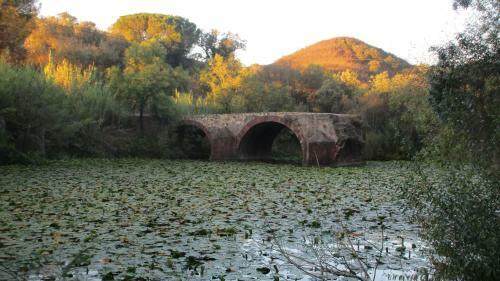 Hostal Casas De Sab�ia