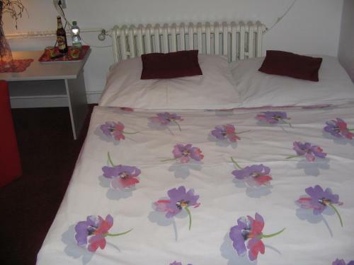 Hostal Penzion Zavodsky