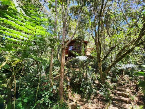 Caba�a En Medio Del Bosque Con Jacuzzi - Santa Elena