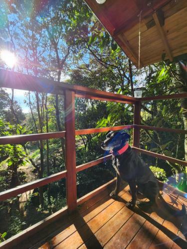 Caba�a En Medio Del Bosque Con Jacuzzi - Santa Elena