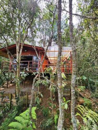 Caba�a En Medio Del Bosque Con Jacuzzi - Santa Elena