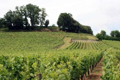 Villa La R�sidence "les Grands Vignobles"