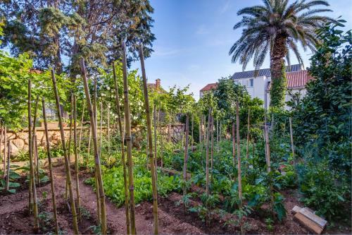 Apartments Beba