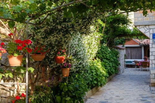 Apartments Beba