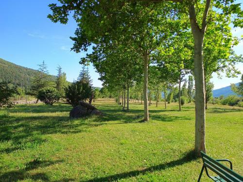 Apartamento Con Vistas.