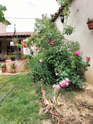 Albergue Don Camino
