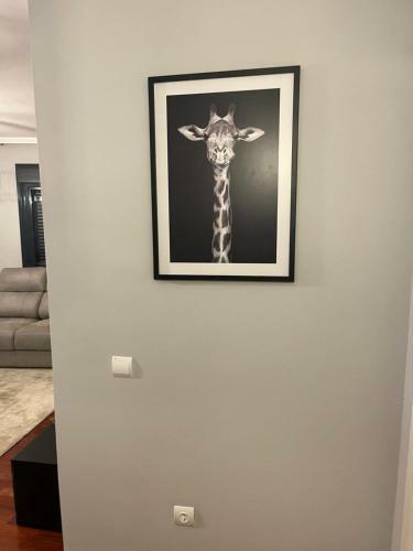 Apartamento Sweet Dreams Ebora