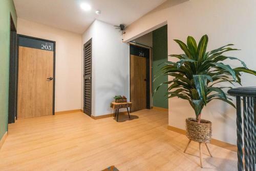 Nid202 Arrendamiento Nuevo Apartamento Con Balc�n