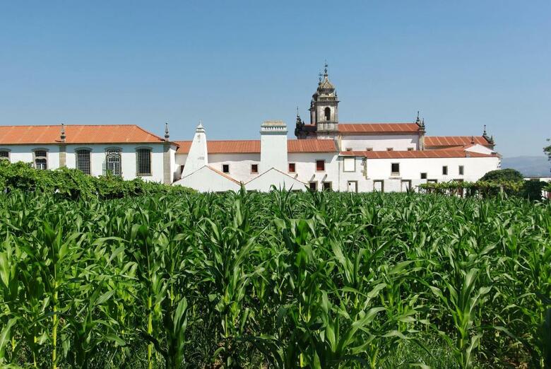 Hotel Convento De Tibaes