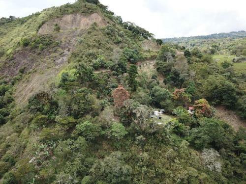 Apartamento Caba�a 2 - Finca El Naranjal