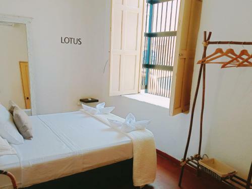 Lotus Hotel