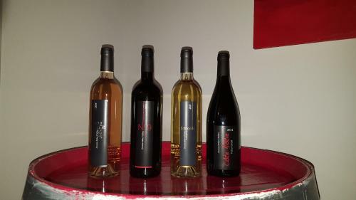 Hotel H�tel Le Domaine Des Vignes