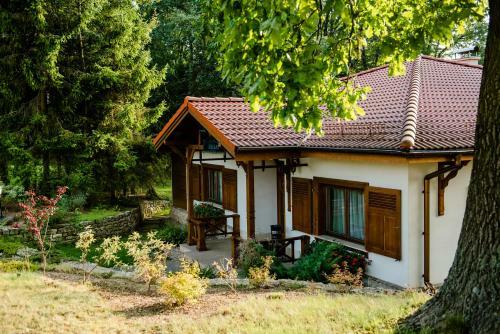 Hotel Pa?ac Czarny Las (50 Km Od Katowic)