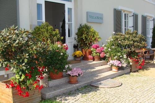 Hostal Rezydencja Villa Nova