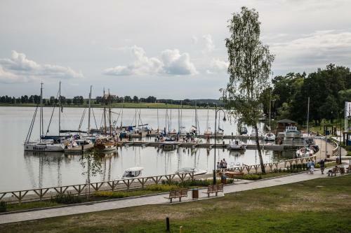 Hostal Willa Pod Zamkiem