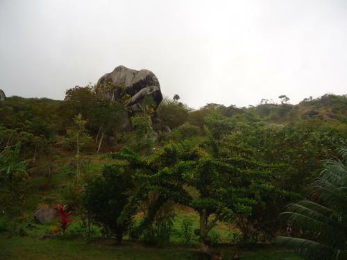 Hotel Pousada Aba Da Serrra