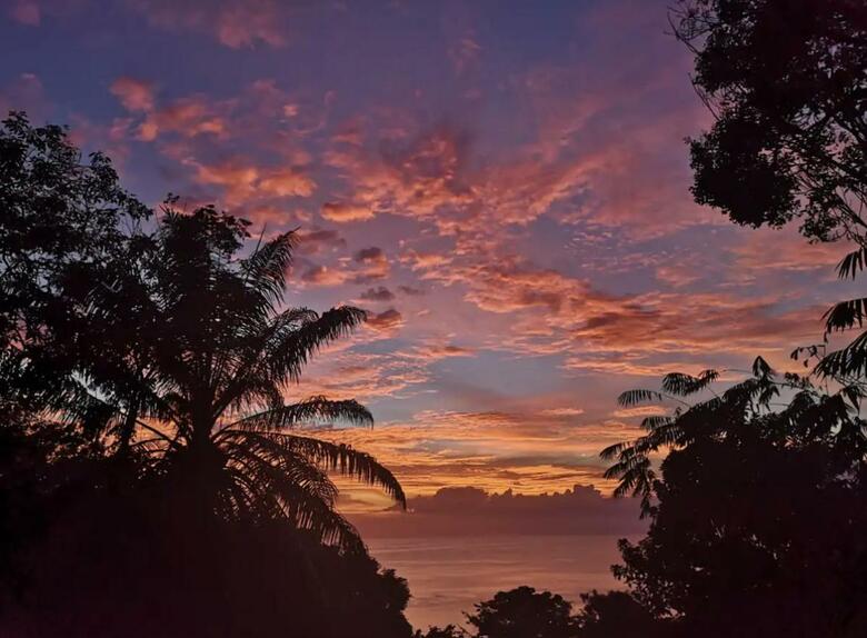 Bed & Breakfast Mizaru Ocean View Hotel Manuel Antonio