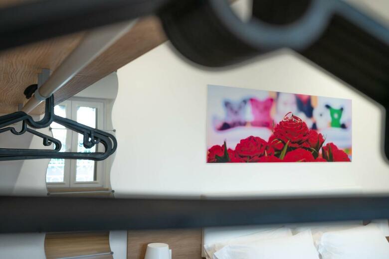 Dimora Bordin Luxury Aparthotel Animali Ammessi