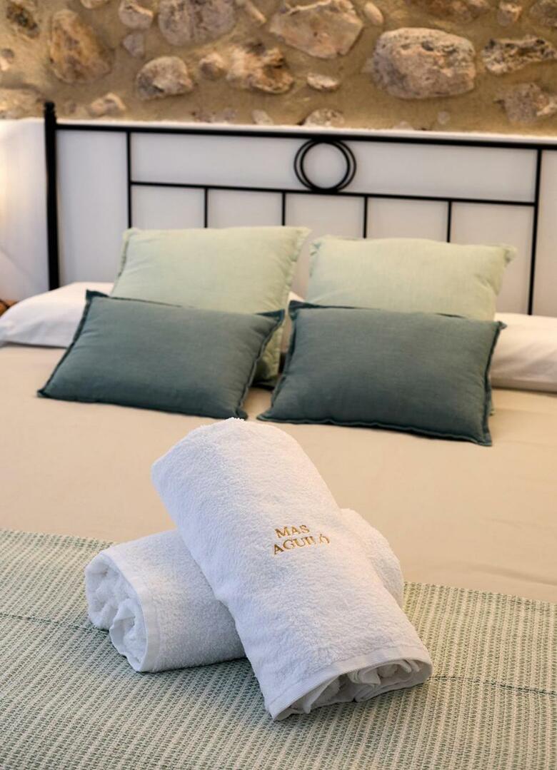 Hostal Hotel Mas Aguil�