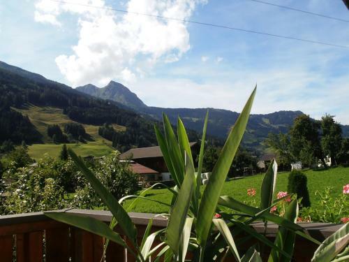 Apartamento Landhaus Johanna
